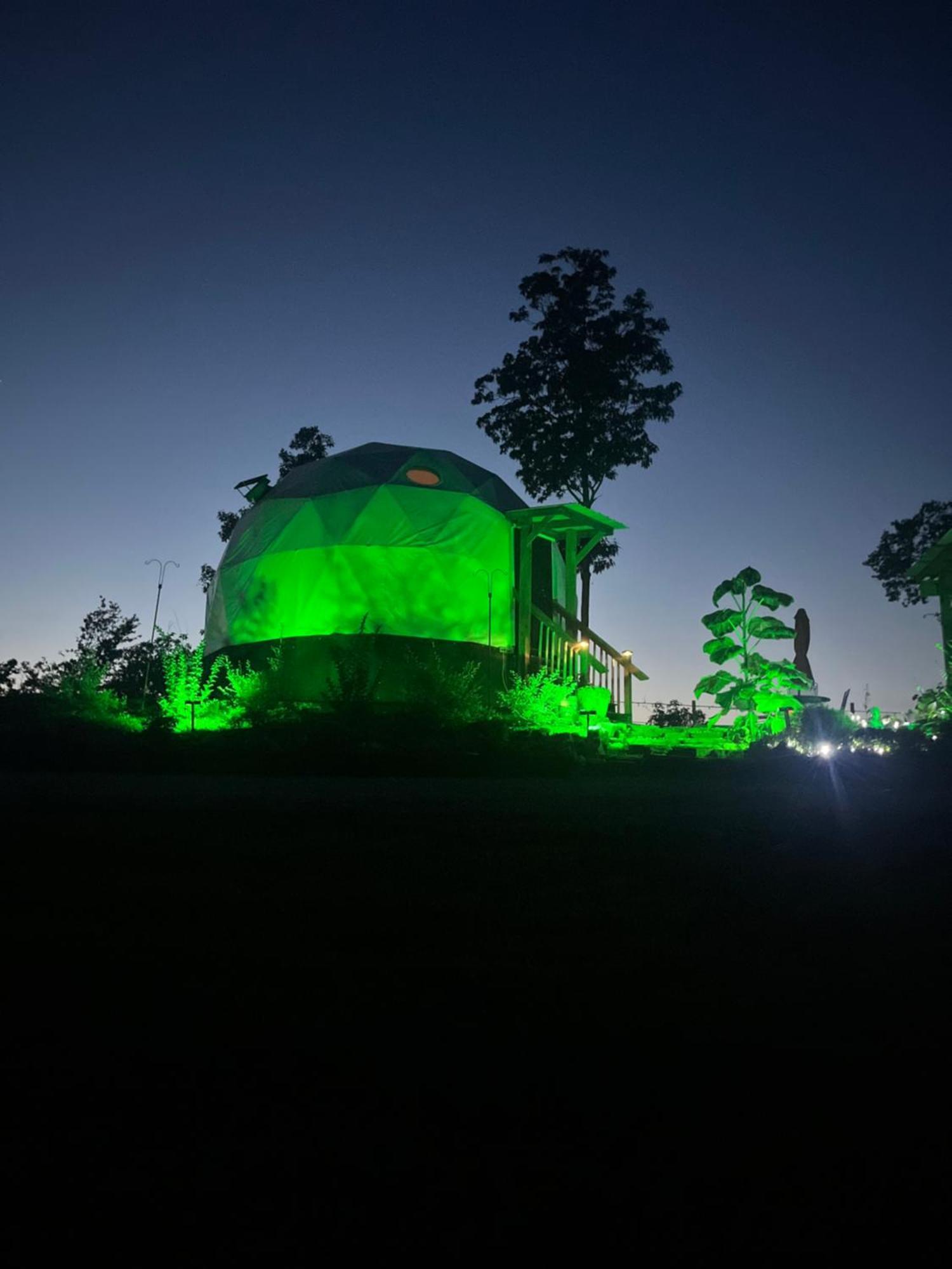 فندق Waterfront Luxury Glamping Dome Rogersville المظهر الخارجي الصورة