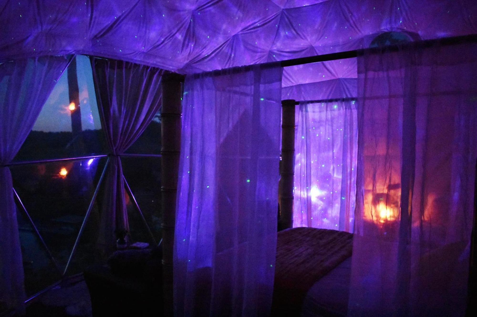 فندق Waterfront Luxury Glamping Dome Rogersville المظهر الخارجي الصورة